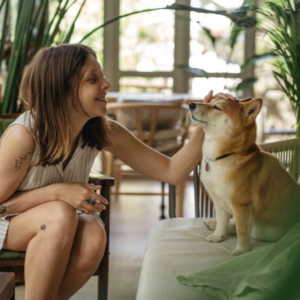 Viaja con tu mascota en nuestro hotel pet friendly