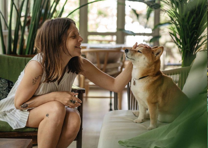 Viaja con tu mascota en nuestro hotel pet friendly