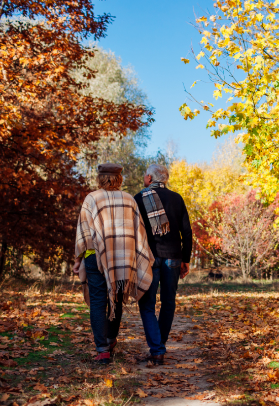 Spa Hotel Rural Los Nogales junior